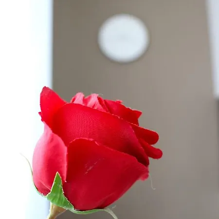 Апартаменти Little Romance In *