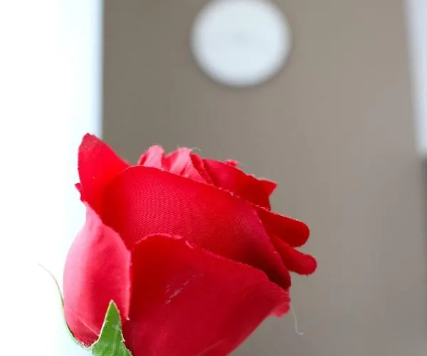 Appartement Little Romance In *